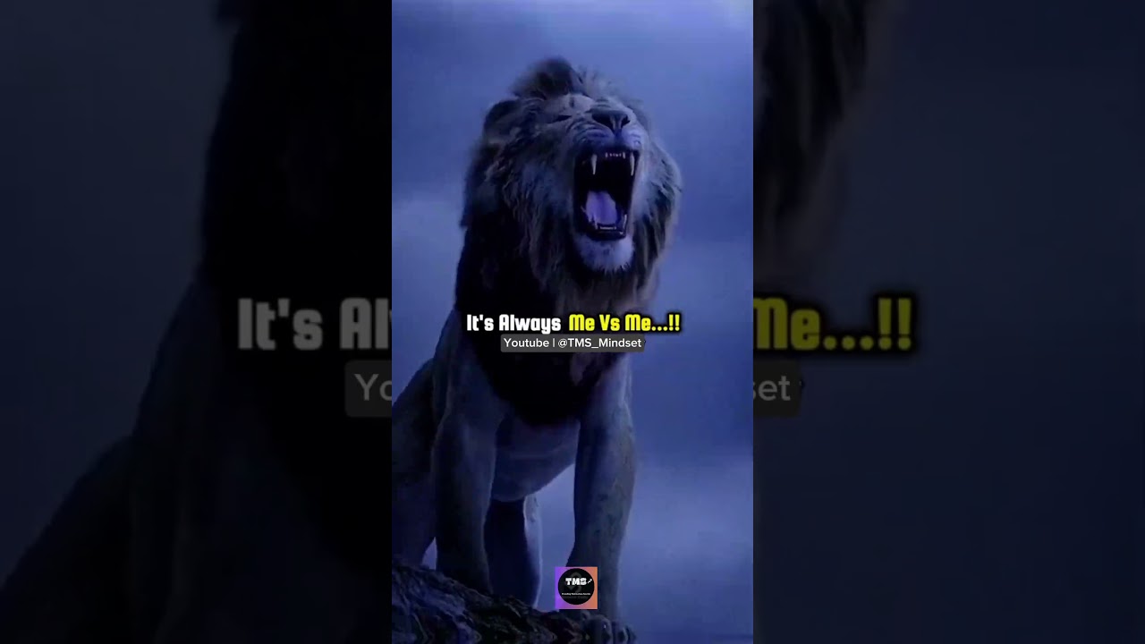 No Competition, Just Evolution 👑 