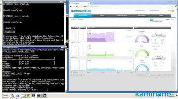 Running Oracle on Kaminario K2