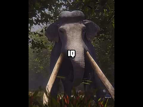Palaeoloxodon vs argentinosaurus