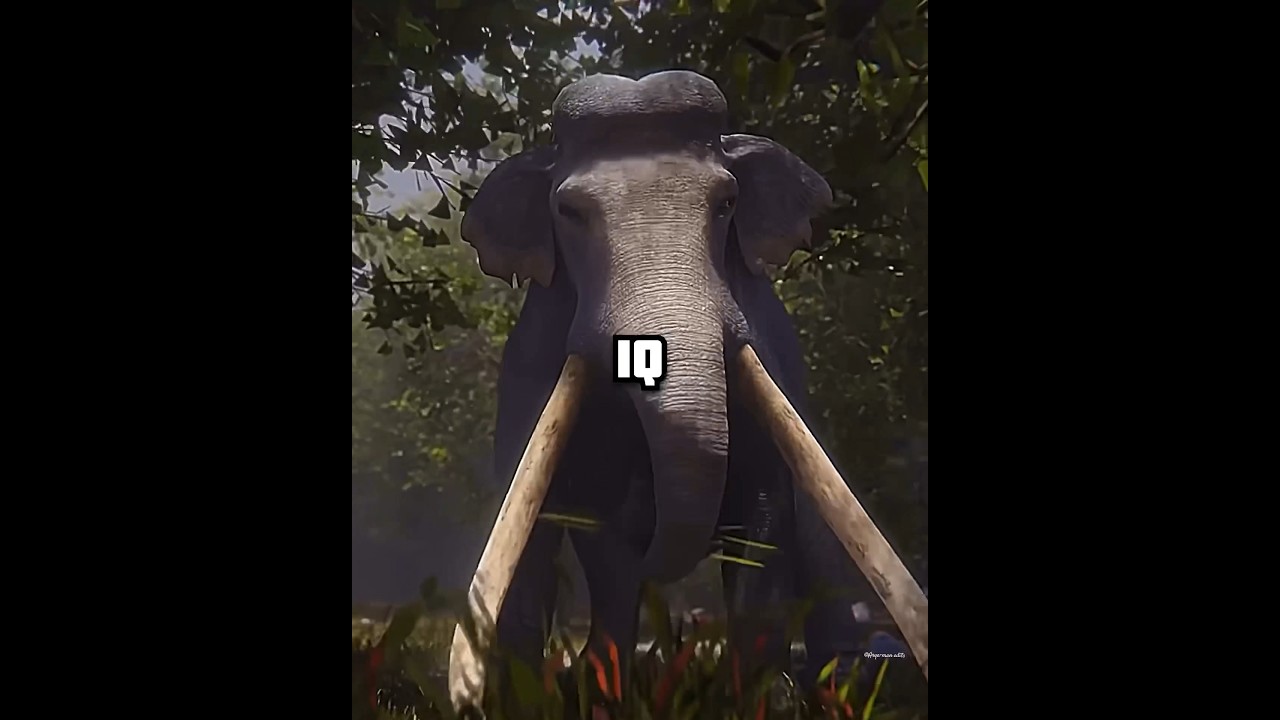 Palaeoloxodon vs argentinosaurus 