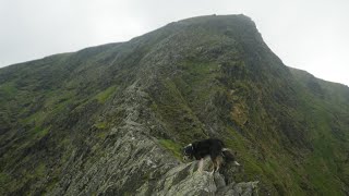 : Sharp Edge, Blencathra, May 13th 2024