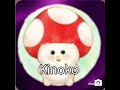 ST1: Kinoko