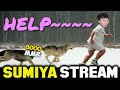 8000 MMR + Lycan Non-stop CHASING Sumiya | Sumiya Invoker Stream Moment #1671