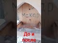 #шортс #кормушкадляптиц #кормушка #парк #зима #животные #сибирь #сургут #белка #топ #просмотры