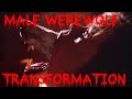 male Werewolf transformation - from male to wolf - Company Of Wolves HD