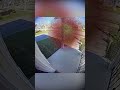 Package Thief Gets Glitter Bombed 💣😂