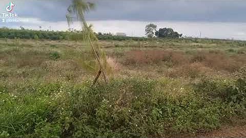 Bán đất đường Lạc Long Quân Thị Trấn Lộc Thắng giá chỉ 750tr/250m2