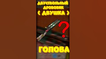 УРОН в ГОЛОВУ с ДВУШКИ в игре RUST / РАСТ Двуствольный дробовик #rust #раст #funny #iq #шортс