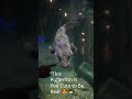 When the Pufferfish Starts Staring Back at You 👀🐡