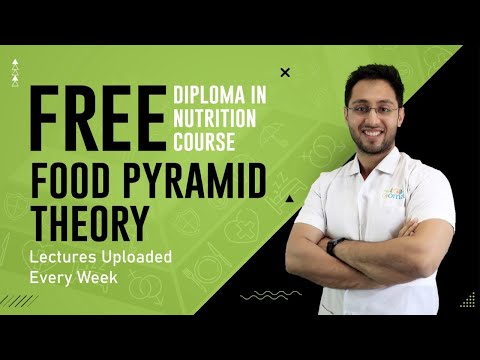 Food Pyramid Theory