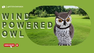 Fake Owl To Scare Away Birds