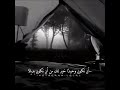 قوانين الكرامه وعزة النفس حالات واتساب 