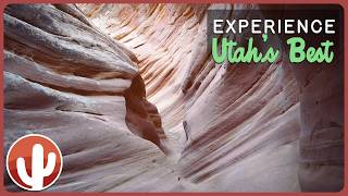From Capitol Reef to Natural Bridges: Utah’s Ultimate Scenic Journey