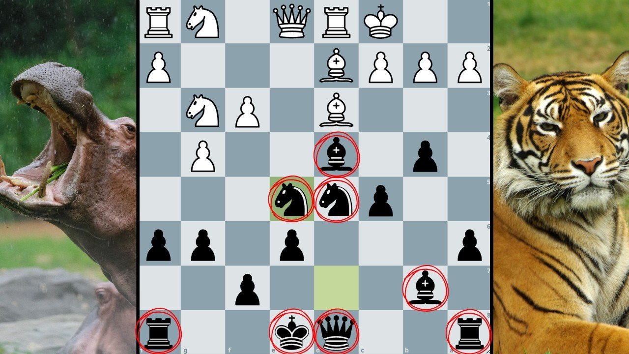 Защита от бегемотов | Современная защита от тигров – это серьезно.