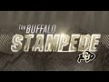 Buffalo Stampede - Week 15