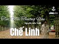 Chế Linh | Tìm Mãi Thương Yêu | Chế Linh Official