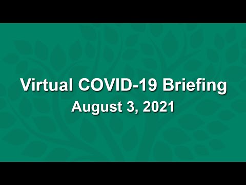 Virtual COVID-19 Briefing - August 3, 2021