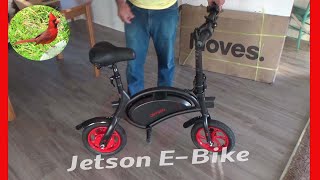 Jetson Bolt E-Bike