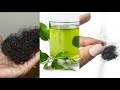 Shocking! green tea for hair growth/Green tea hair rinse