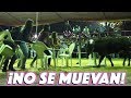 ¡¡¡NO SE MUEVAN, NO SE MUEVAN AHÍ VIENE EL TORO!!! Juegos de Jaripeo 2019