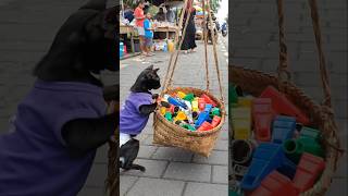 Download Lagu LoLo jual priwitan 🙀🥹😿🥰😻☺️ MP3 Download Lagu LoLo jual priwitan 🙀🥹😿🥰😻☺️ MP3