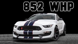 2019 Shelby GT350R 800R Supercharged Dyno Testing | 852 whp