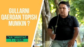 &quot;Va&quot; Nihoyat - Gullarni qaerda topish mumkin