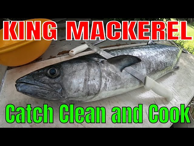 Mastering the Art of Catching and Cooking King Mackerel: Essential Tips and  Recipes