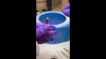 SSRL XAS solution holder loading for LHe cryostat