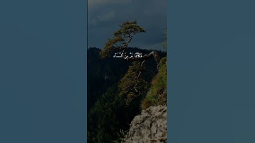 سورة الحج { _ ٣١ _ ٣٢ } #ياسر_الدوسري #القران #انشر_تؤجر