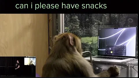 Neuralink brain chip to begin human trials in 6 months