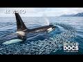 Wild Atlantic Ocean | Where Earth’s Most Dangerous Forces Converge | Nature Animal Documentary