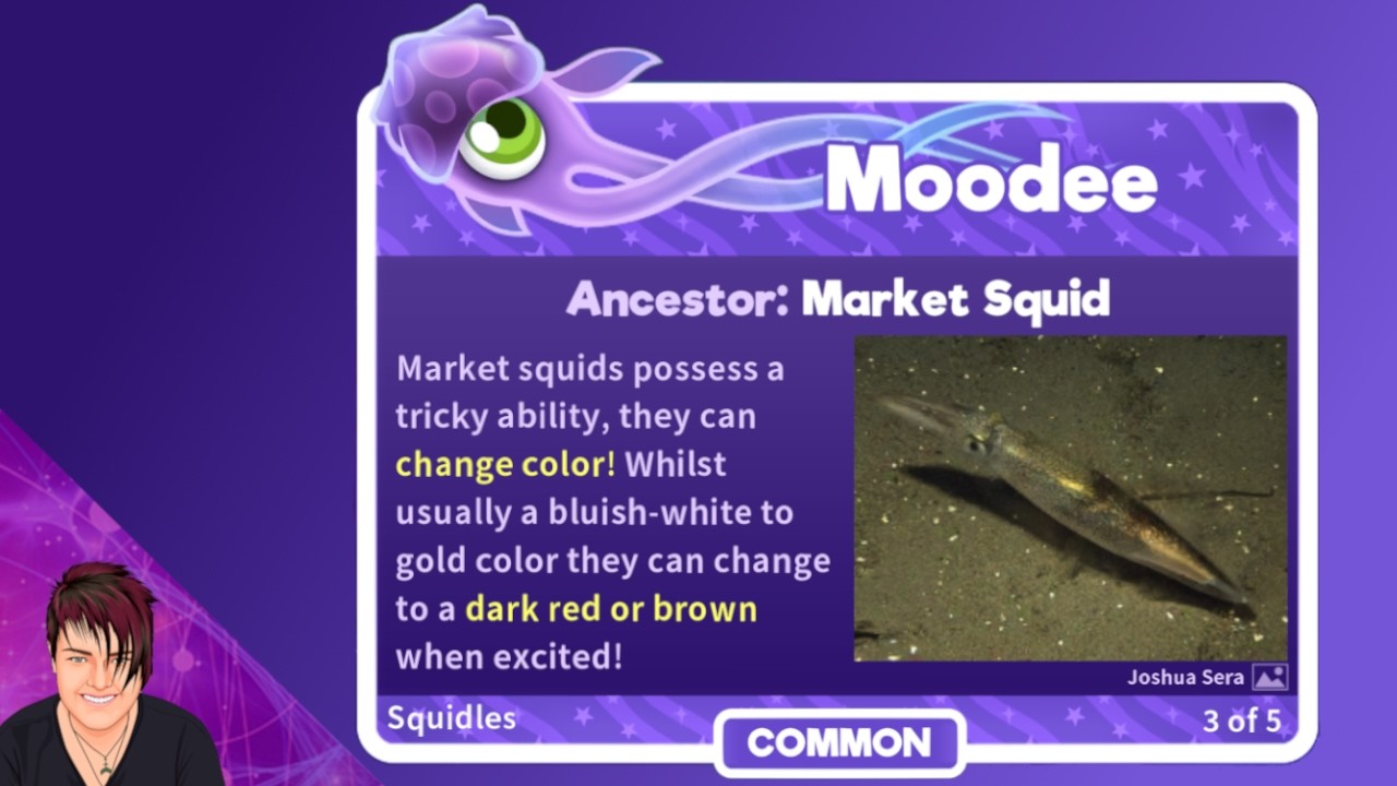 Swimming with Moodee (Squidles) - Super Starfish | Rosie Rayne