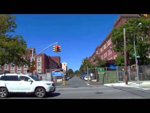 P.S. 255 Barbara Reing School