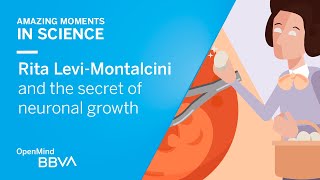 Rita Levi-Montalcini and the secret of neuronal growth | AMS OpenMind