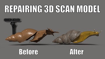 Repairing 3D Scan Model - Quick and Easy Techniques with Adobe Substance 3D Modeler