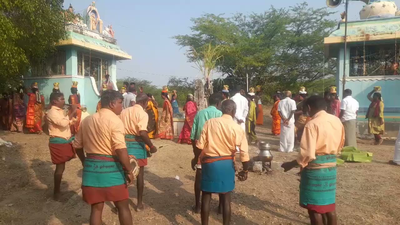 மாகசிவாரத்தி.17.2.2026.இன்று. பாம்பூலுந்கோட்டகை.பால்குடைம். ந. பூபாலன். சிம்லா. மேளம்