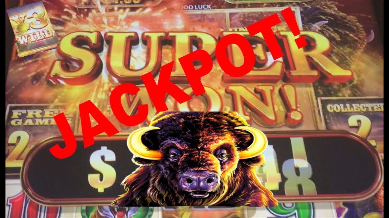 buffalo chief jackpot buffalo chief jackpot