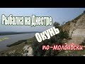 Рыбалка в Молдове. Ловим карася и окуня. Путешествие