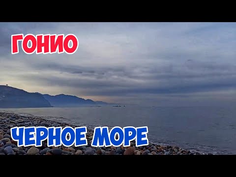 ГОНИО: Рыбацкие КОРАБЛИ, Звуки МОРЯ, Шум ВОЛНЫ | Грузия 2021: ЧЕРНОЕ Море возле Батуми для Релакса