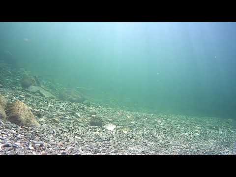 Eidselva Skipenesbrua #2