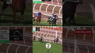 Pride Of Jenni looked home… then THIS 🤯