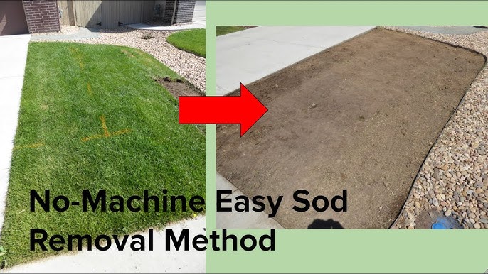 5+ Sod Removal Tool Rental