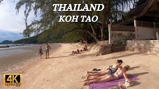 Koh Tao - Thailand - Street and Beach walk - Sairee Beach - 4K