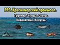 РР3. Красноморский промысел. Группер. Конусы. Скаты. Тунцы. Каракатица.