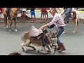 Cabalgata en San Camilo por las fiestas de Quevedo la Ciudad del Rio