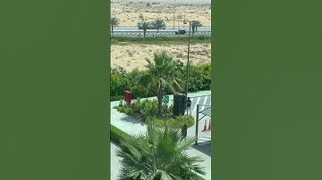 Habibi Come to Dubai | Software Engineer in Dubai #softwareengineer #dubailife #programmerlife