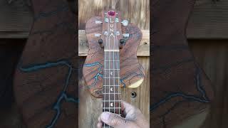 Ukelele wall hanger made out of shoe string acacia wood with fractal art sealed w/ turquoise blue.