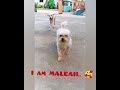Pet (Maleah) + Mama Mary. 😘 #MamaMary #slowmotion #pet