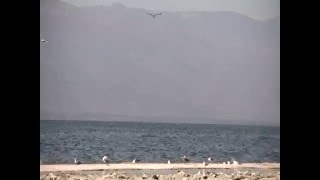 Experiments in Visual/Audio Perceptions - 3